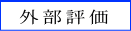 外部評価