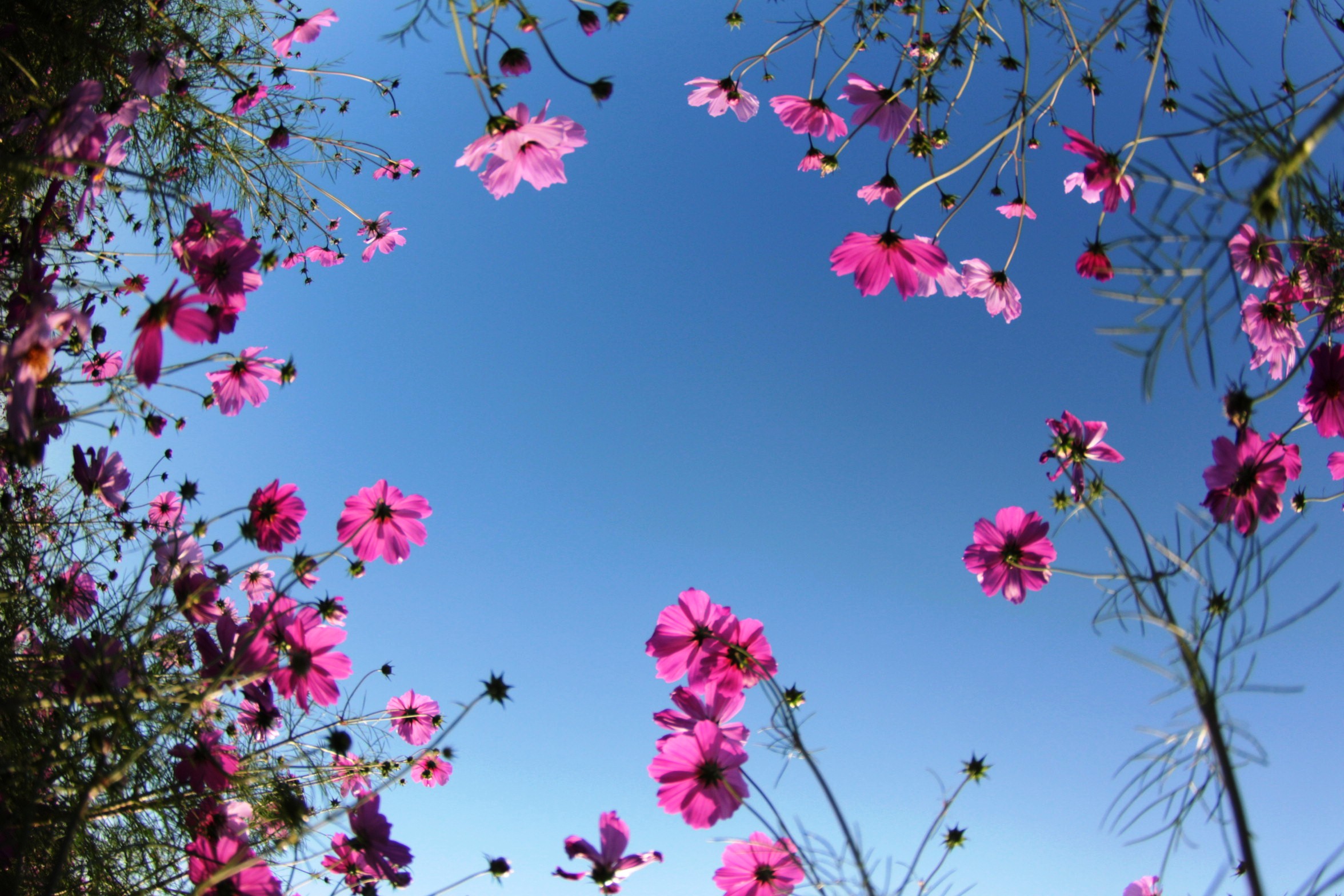 上里の花鳥風月 星 雷 夜景と星景 彩の丘 本庄市 児玉郡 医 師会