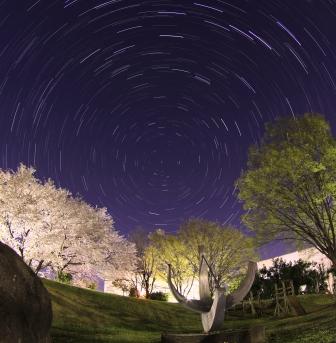 長久保公園　桜と星　上里町